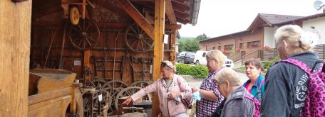 Gazdovstvo uhliská - IMG_20210907_092541_1