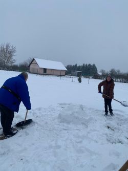 7486120e-6317-49c9-ba4e-cf4e936f1433