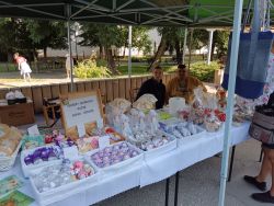 IMG_20240823_084803
