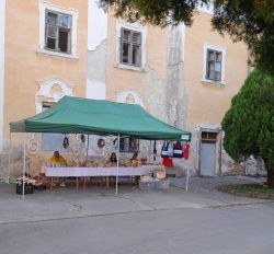 26ec455a-f1c9-43fa-b864-0c5e8e3d9540