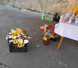 c1faa07f-2581-481c-910f-aeadd8a032d6