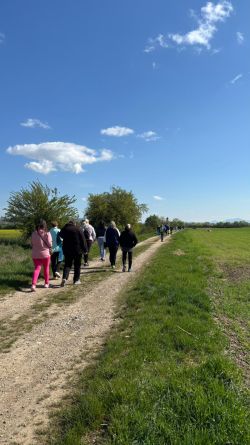 9def8431-5d3f-4fbd-bbb8-ac4ba689804c