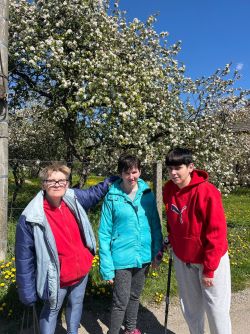 d93fcf86-3b7d-498c-9187-4e0c601bf610