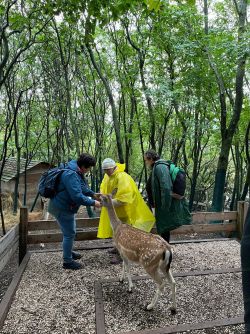 9689e15c-2469-4eba-ab84-9eac3e4f68b4