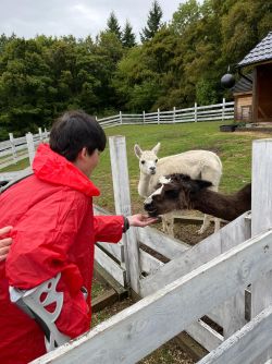 bbee7350-4edb-44a4-b1a5-2a1878ff2c1c