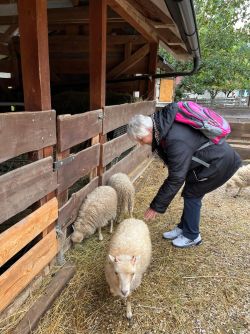 fd98902e-818e-42ab-a85f-92592ad585fe