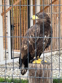 ff5f875c-f575-49aa-b1aa-baf87dd7face