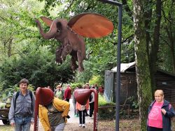 IMG_20240926_110631