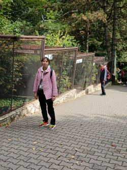 IMG_20240926_113336