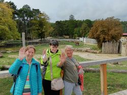 IMG_20240926_114752