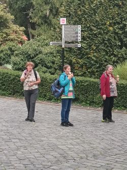 IMG_20240926_141153