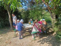 IMG_20240806_095222