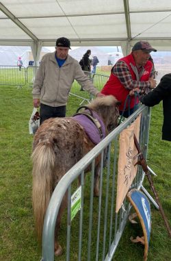 06e47782-8cb5-4f3e-b4c2-90c6891ecc04