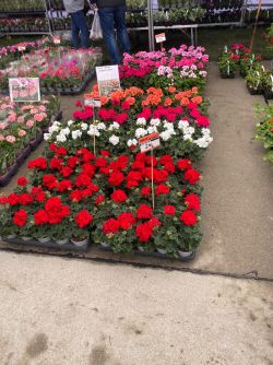 b8c39074-efda-424c-8bda-db8eab29a1b5