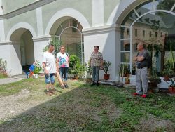 70a5f483-a7bd-4611-a158-afd85029c4e0