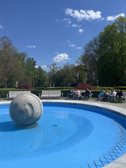 IMG_5339