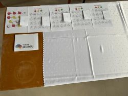b07d55ad-4edf-44ff-ac2b-8eb8779c7765 (1)