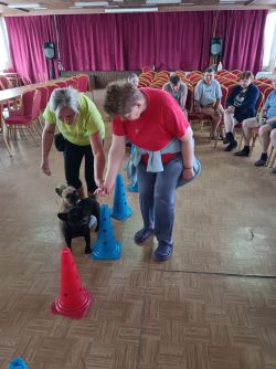 IMG_20250702_092815