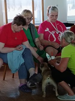 IMG_20250702_100820