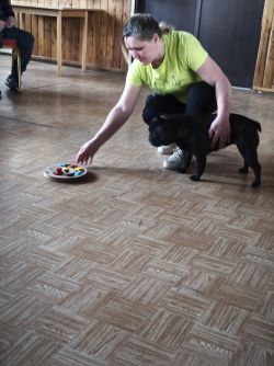 IMG_20250317_094051