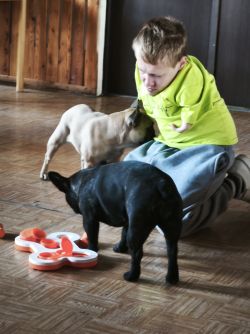 IMG_20250317_094343