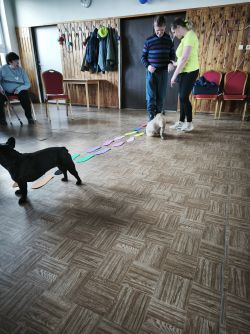 IMG_20250317_095631