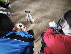 IMG_20250317_102102