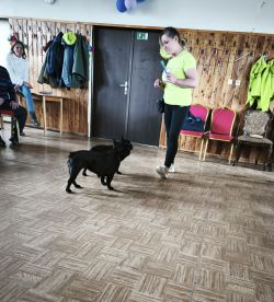 IMG_20250317_102341