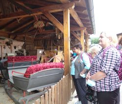 IMG_20210907_092944