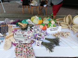 IMG_20190823_074345
