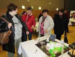 Najkrajšia torta - IMG_1524