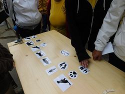 DSCN0136