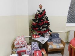 Vianoce - DSCN0275